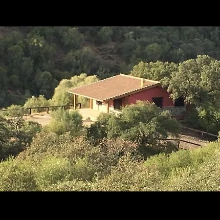 Cigarra Sierra * Cordoba